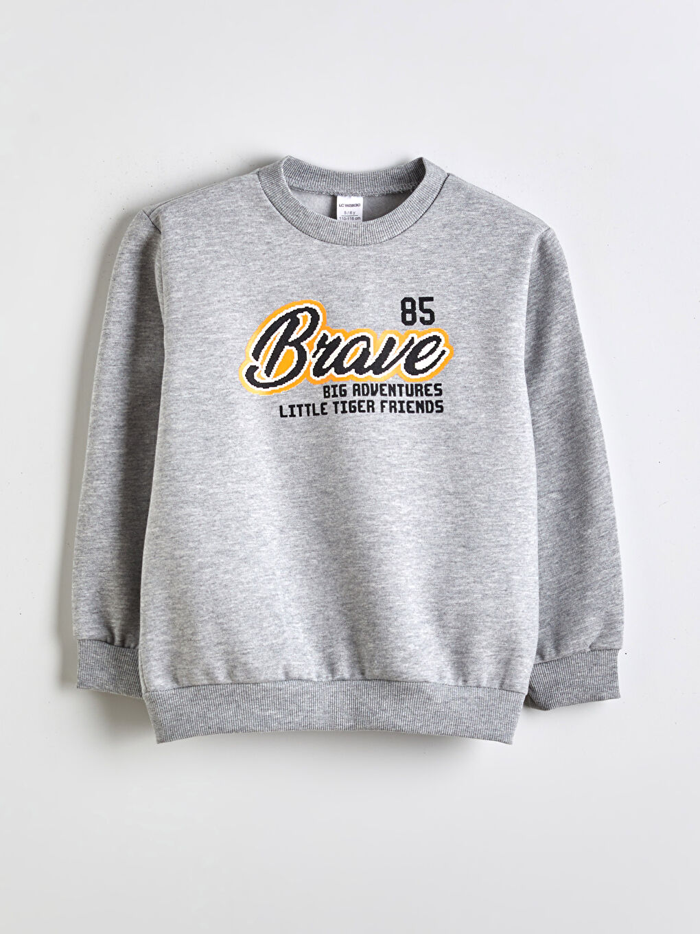 Crew Neck Printed Boys' Sweatshirt 2 Pack-3