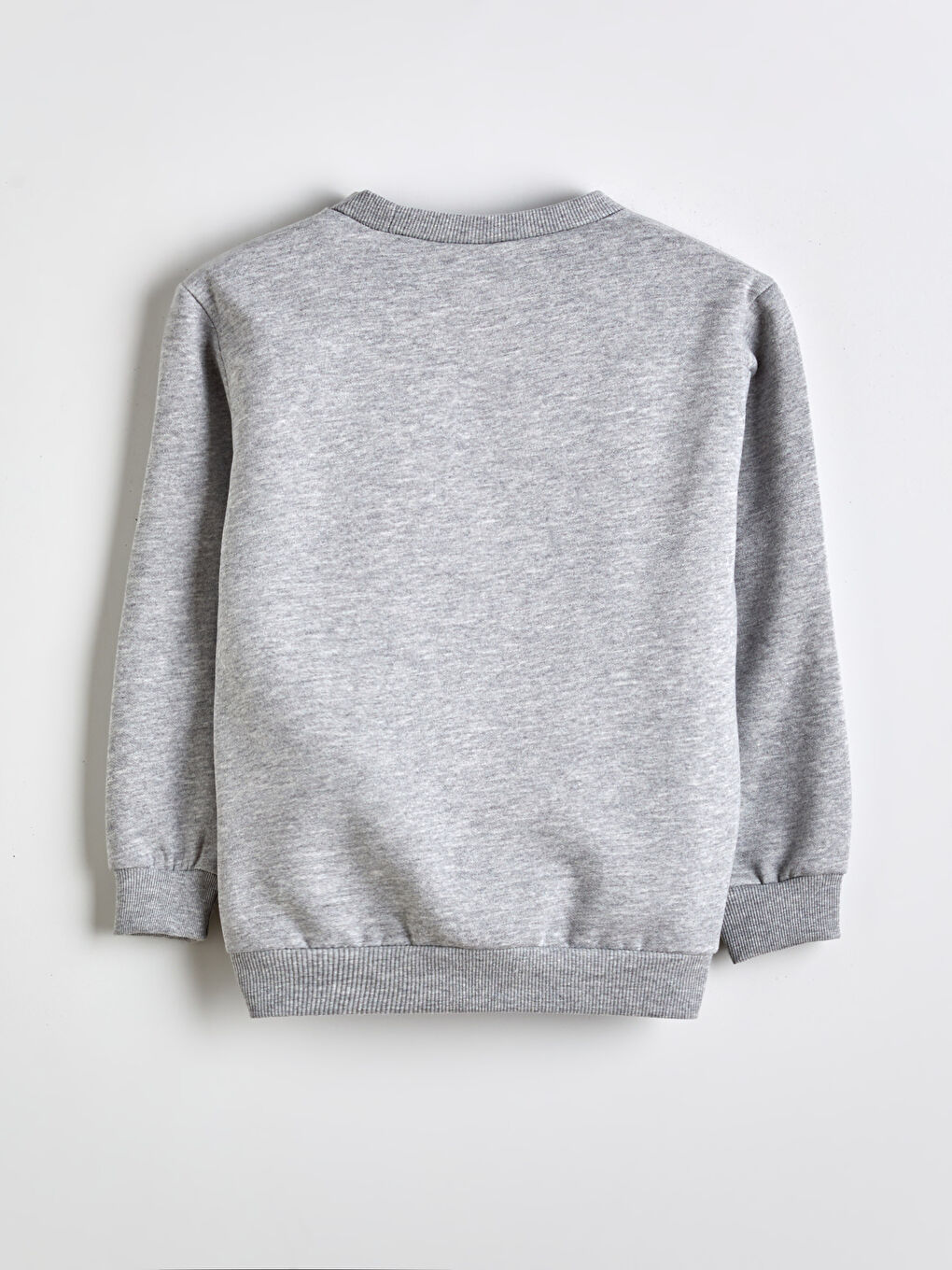 Crew Neck Printed Boys' Sweatshirt 2 Pack-4