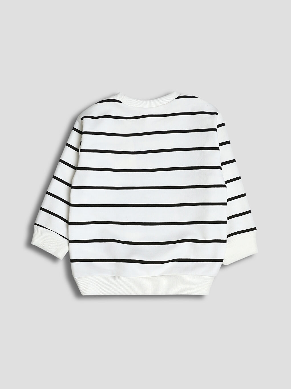 Crew Neck Printed Boys' Thick Sweatshirt-1