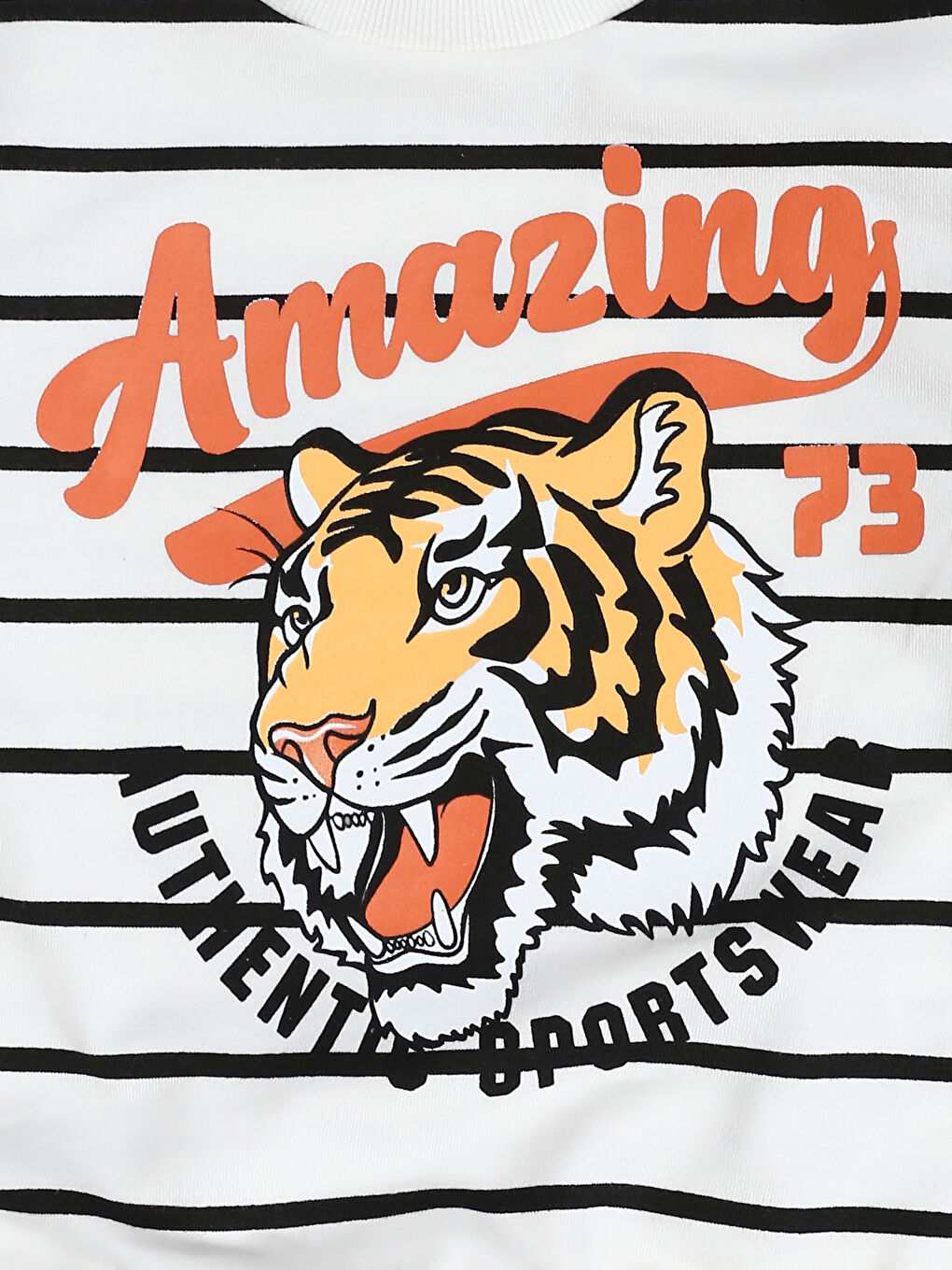 Crew Neck Printed Boys' Thick Sweatshirt-2