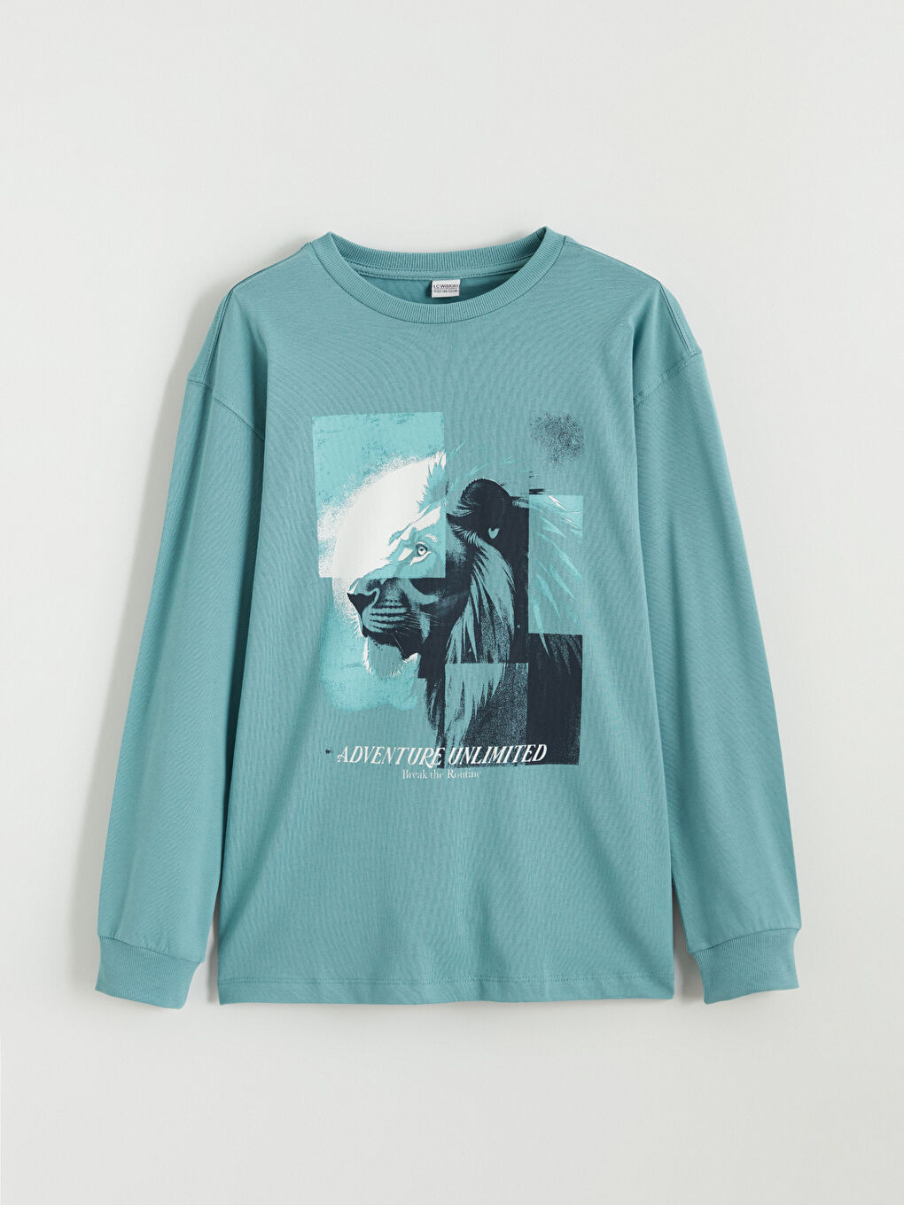Crew Neck Printed Boys' T-Shirt