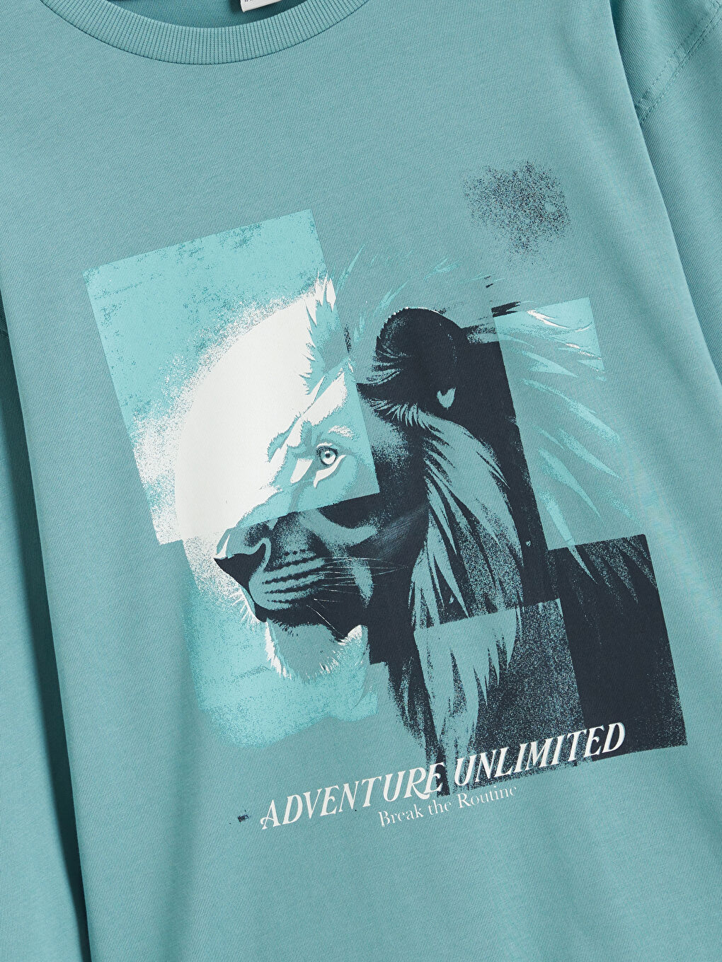 Crew Neck Printed Boys' T-Shirt-1