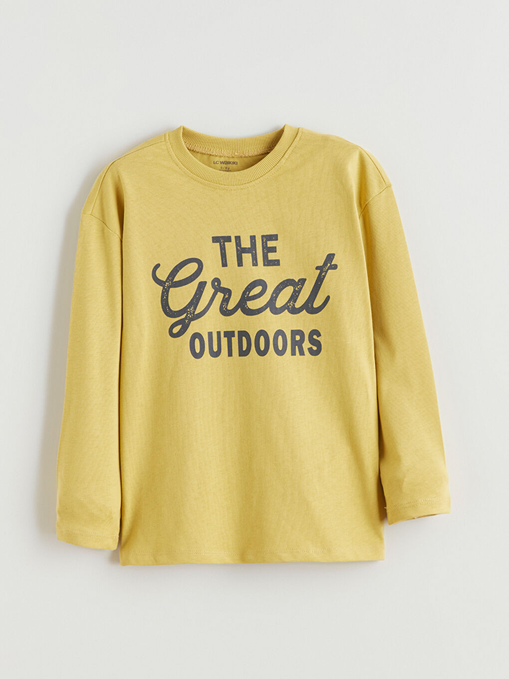 Sarı Uzun Kollu Erkek Çocuk Tişört 2'li-4