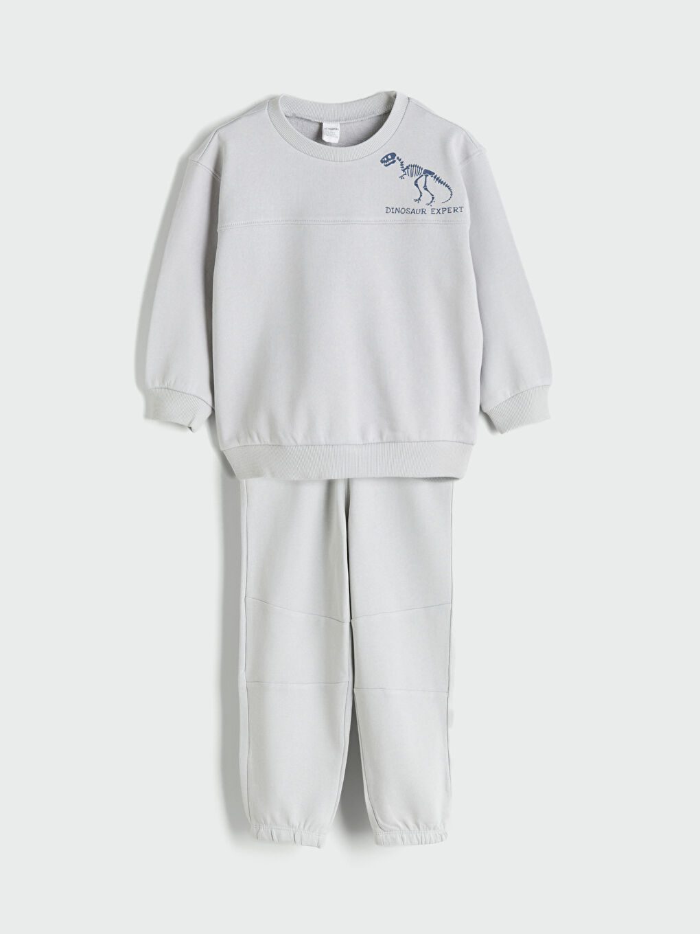 Gri Dinozor Baskılı Erkek Çocuk Sweatshirt ve Eşofman Alt