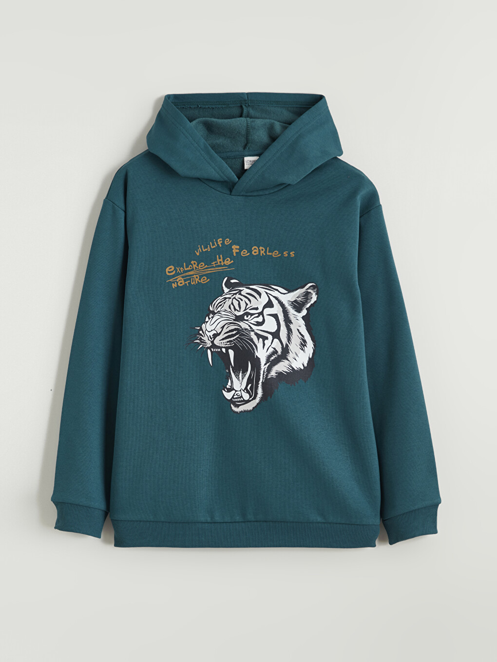 Hooded Boys' Sweatshirt