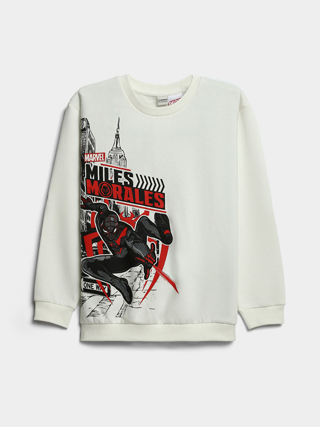 Crew Neck Spider-Man Printed Boys' Sweatshirt