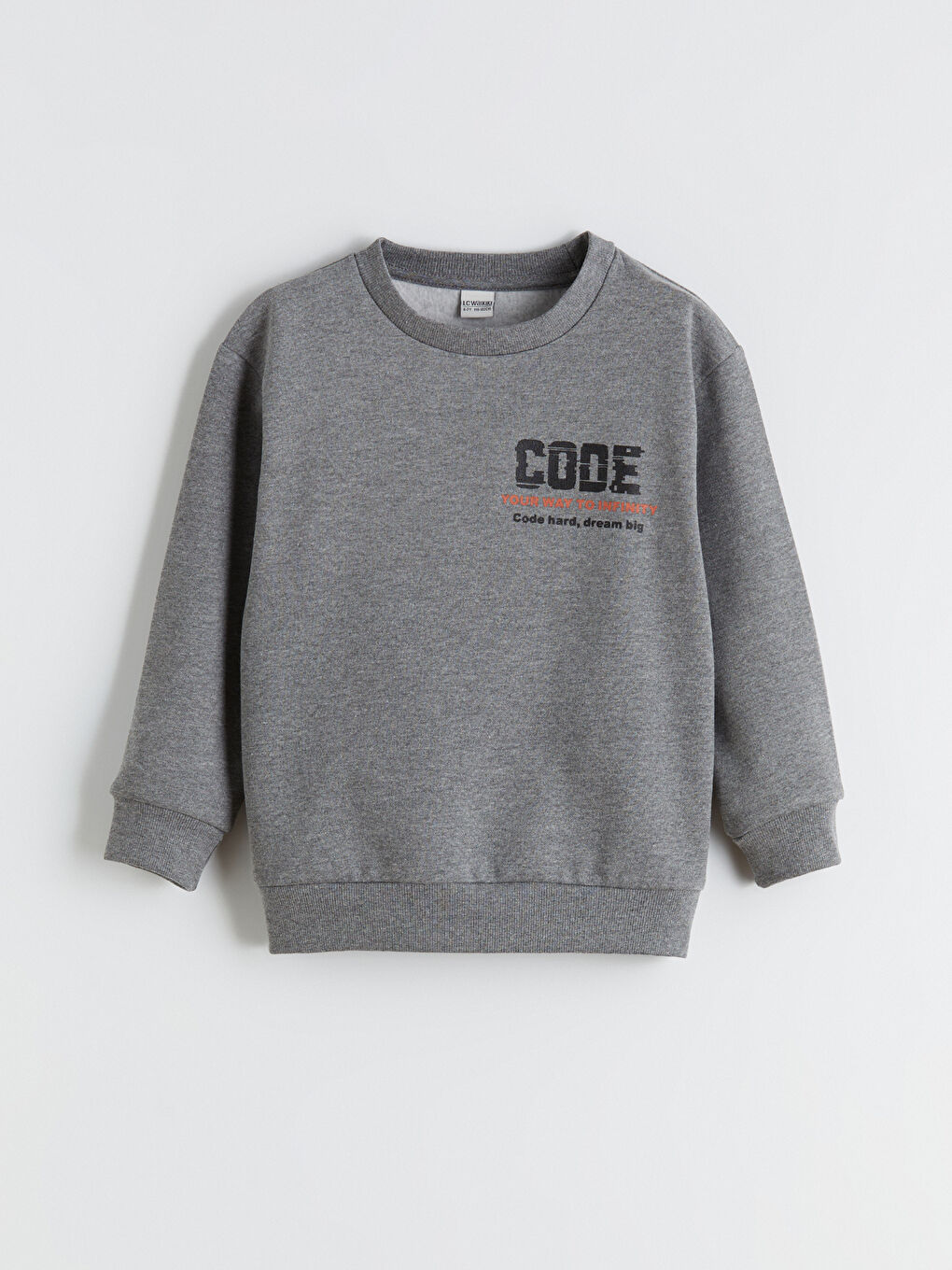 Crew Neck Printed Boys' Thick Sweatshirt-1