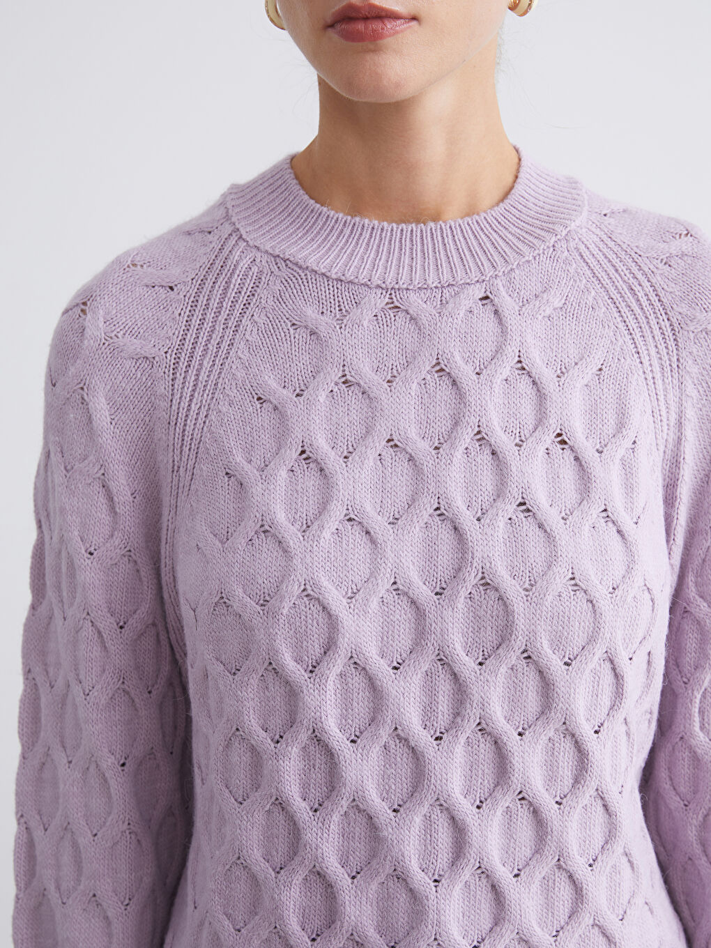 Crew Neck Self-Patterned Women's Knitwear Sweater-2