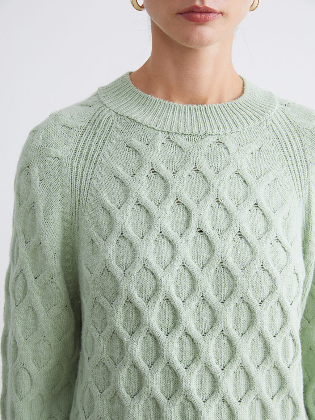 Crew Neck Self-Patterned Women's Knitwear Sweater-2
