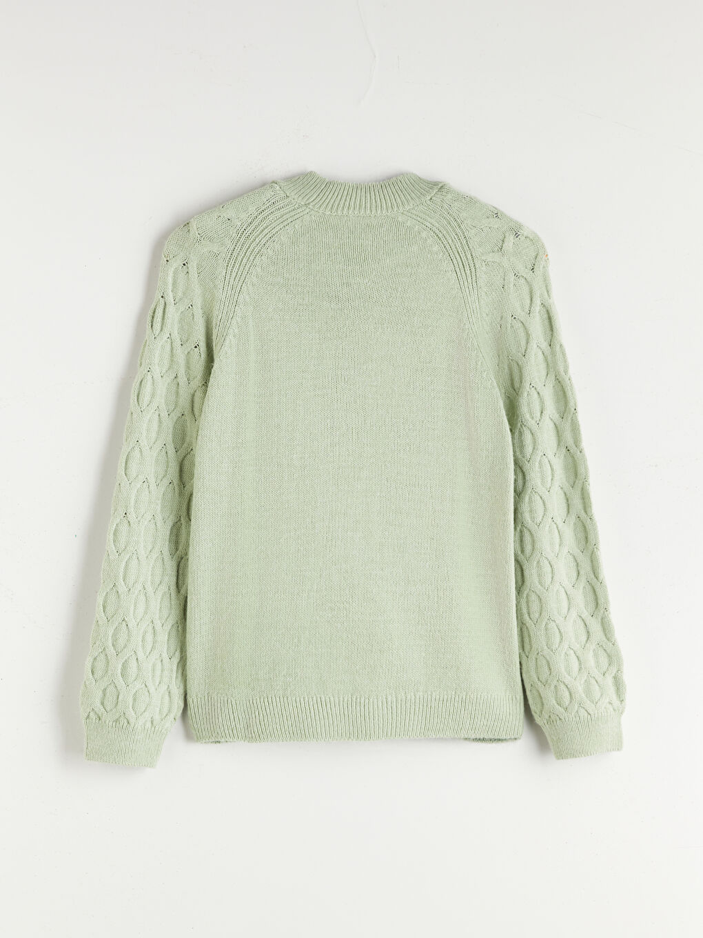 Crew Neck Self-Patterned Women's Knitwear Sweater-5