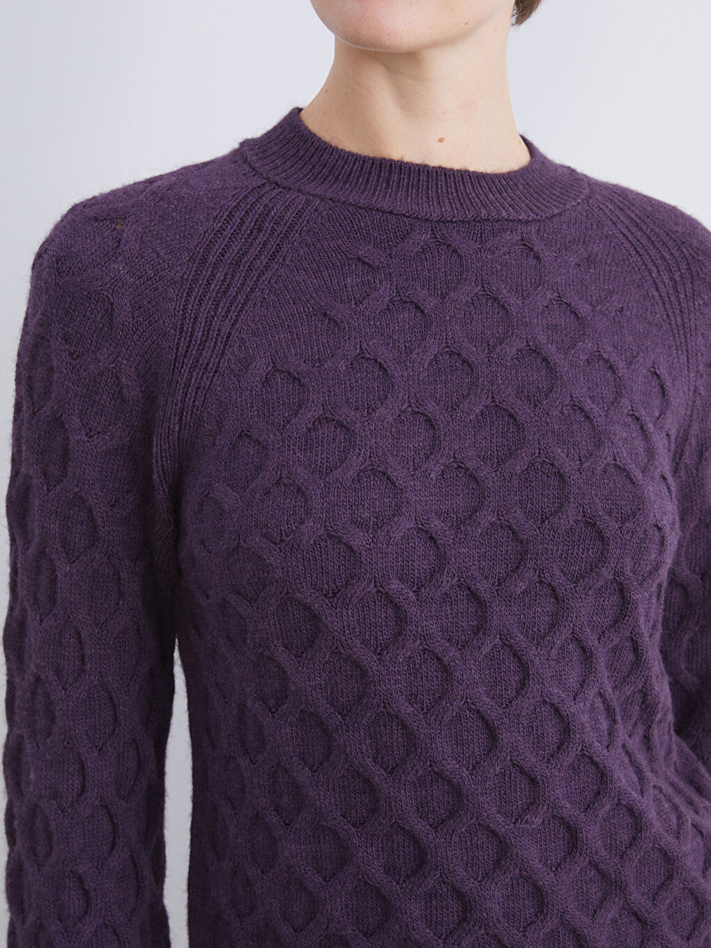 Mor Bisiklet Yaka Kendinden Desenli Kadın Triko Kazak-2