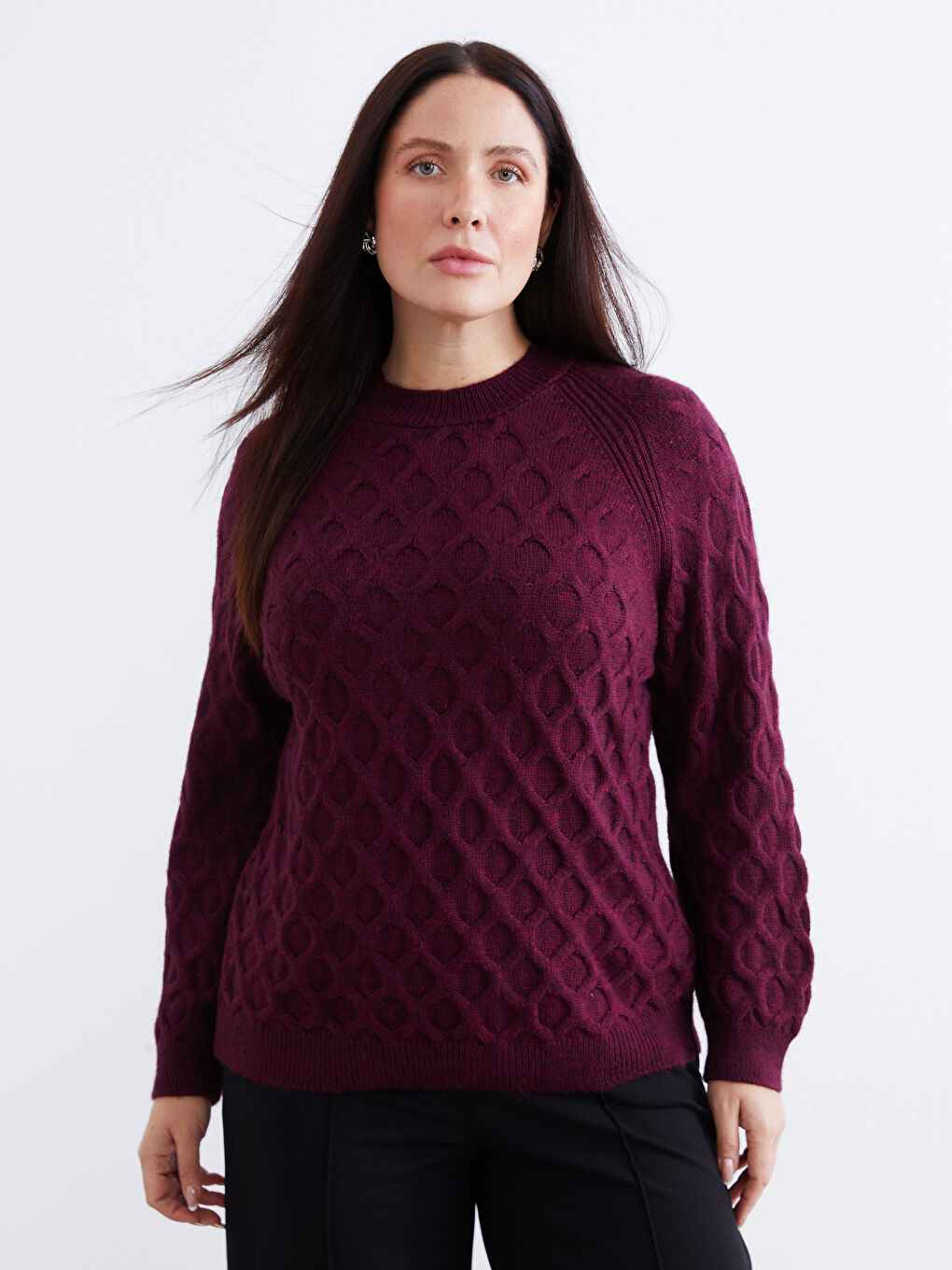 Crew Neck Self-Patterned Women's Knitwear Sweater-1