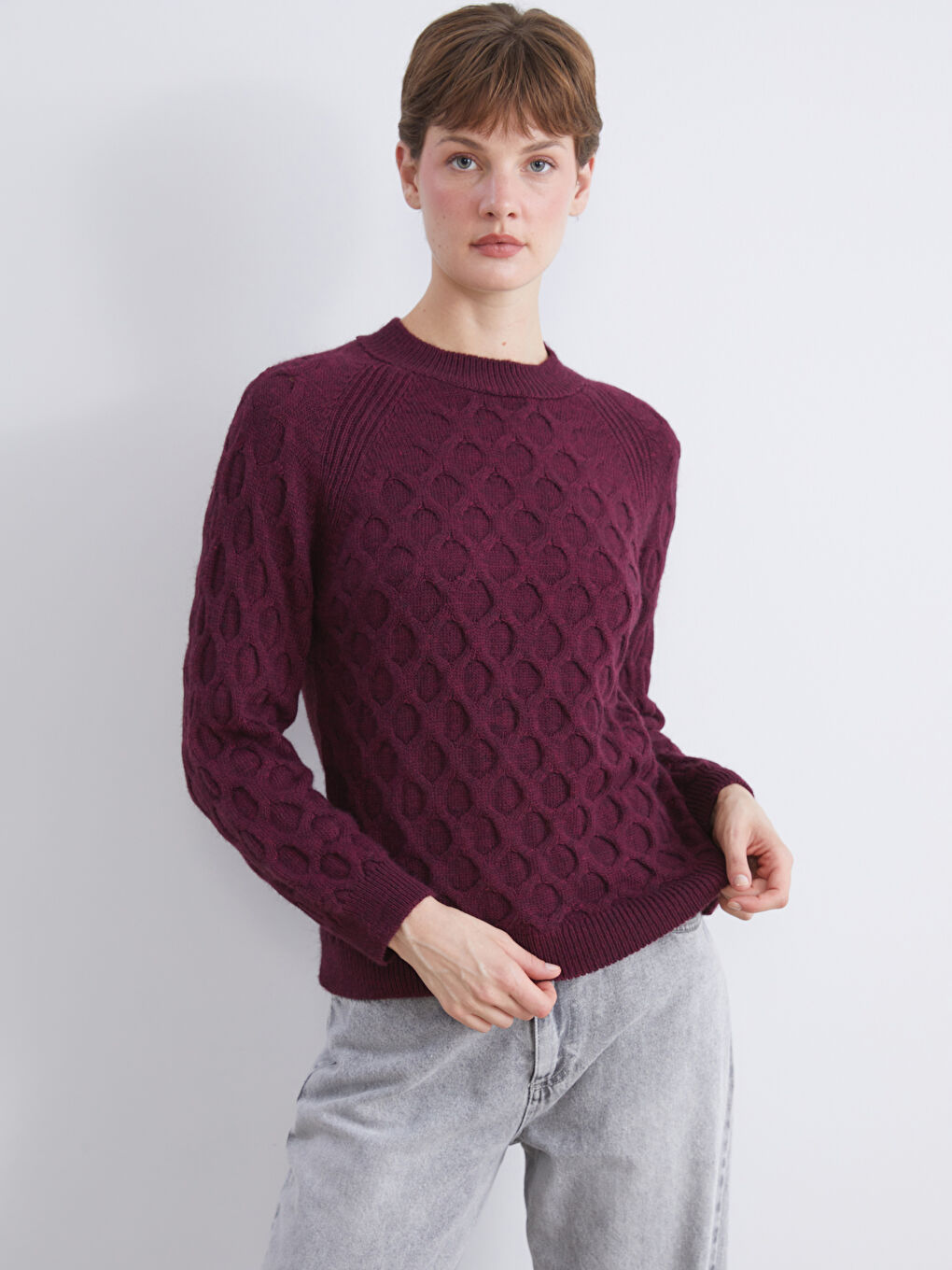 Crew Neck Self-Patterned Women's Knitwear Sweater