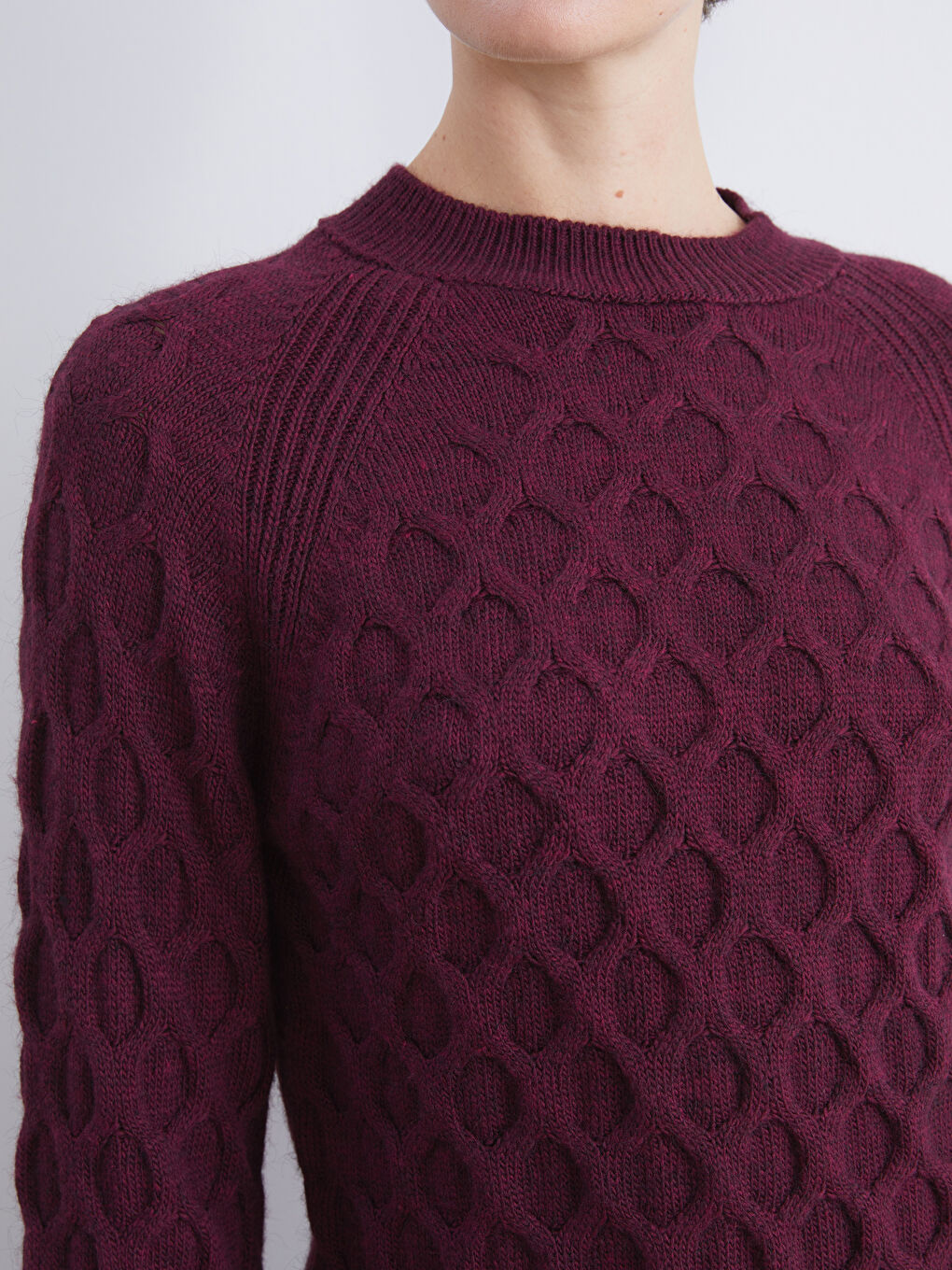 Crew Neck Self-Patterned Women's Knitwear Sweater-3