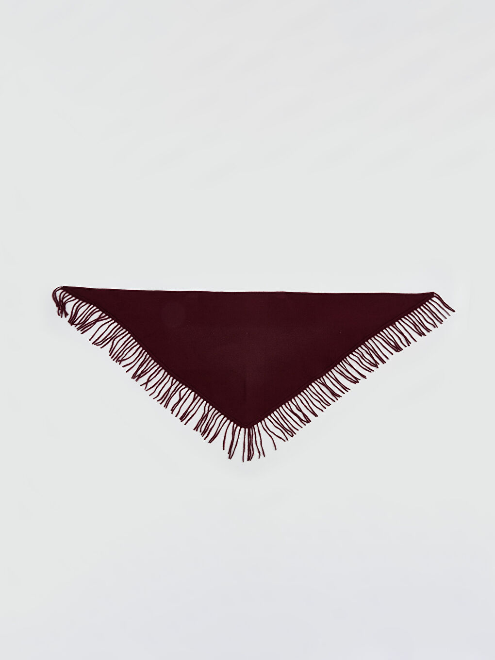 Tasseled Women's Scarf-1