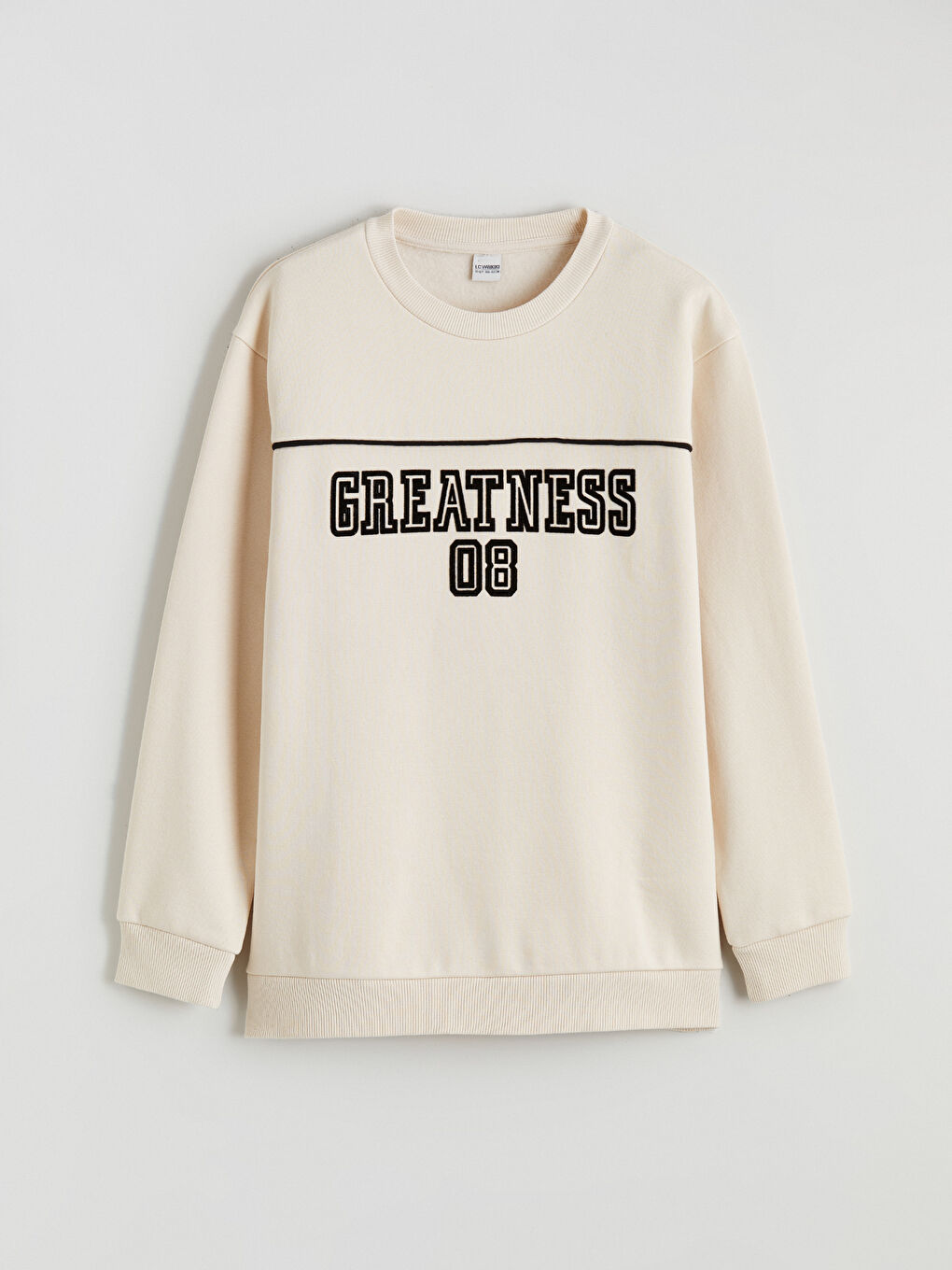 Printed Boys' Thick Sweatshirt