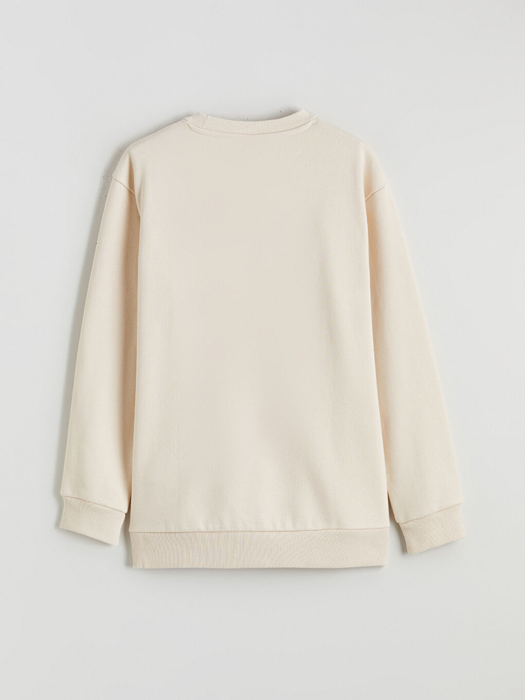 Printed Boys' Thick Sweatshirt-3