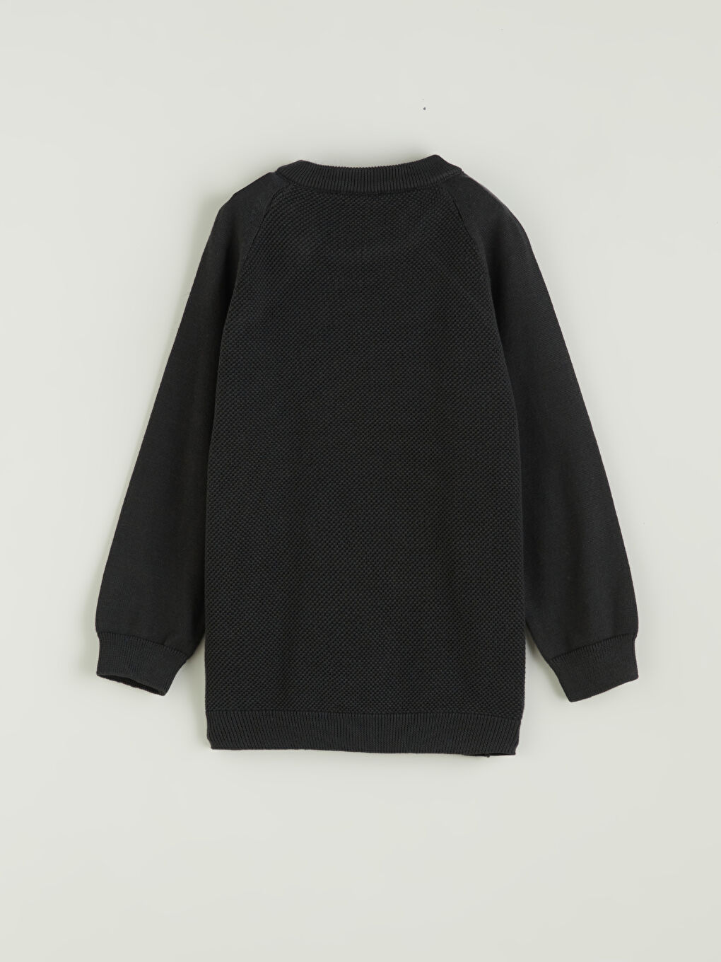 LCW ECO Crew Neck Basic Boys' Sweatshirt -W5FD81Z1-CTH