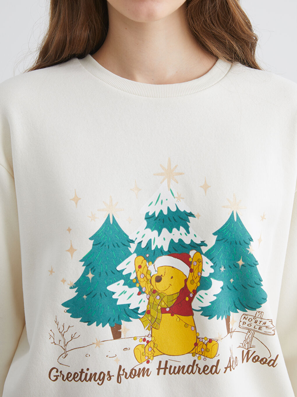 Winnie the Pooh Printed Women's Thick Sweatshirt-2