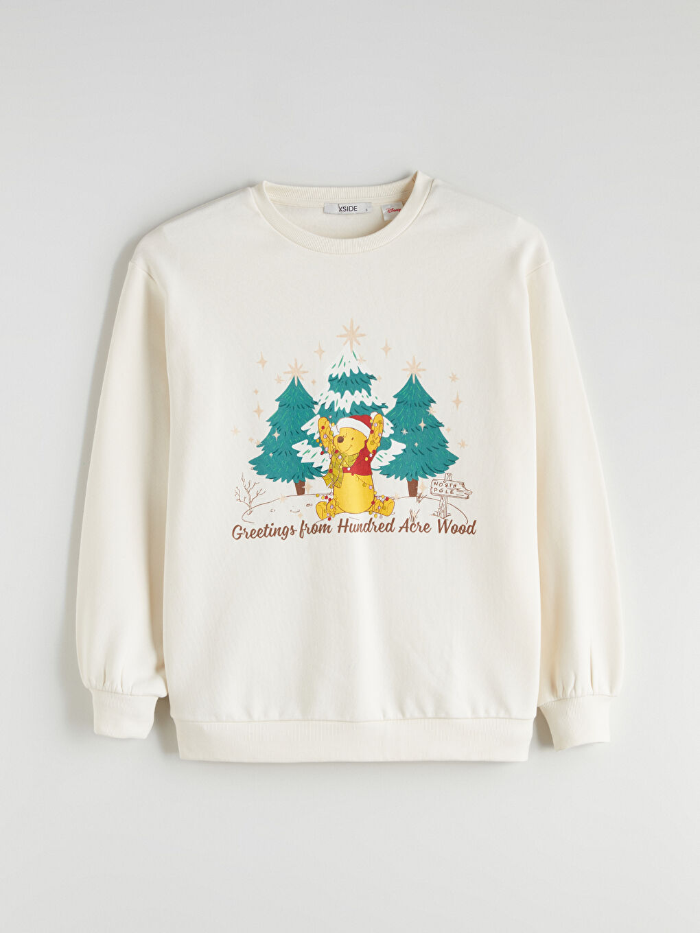 Winnie the Pooh Printed Women's Thick Sweatshirt-4