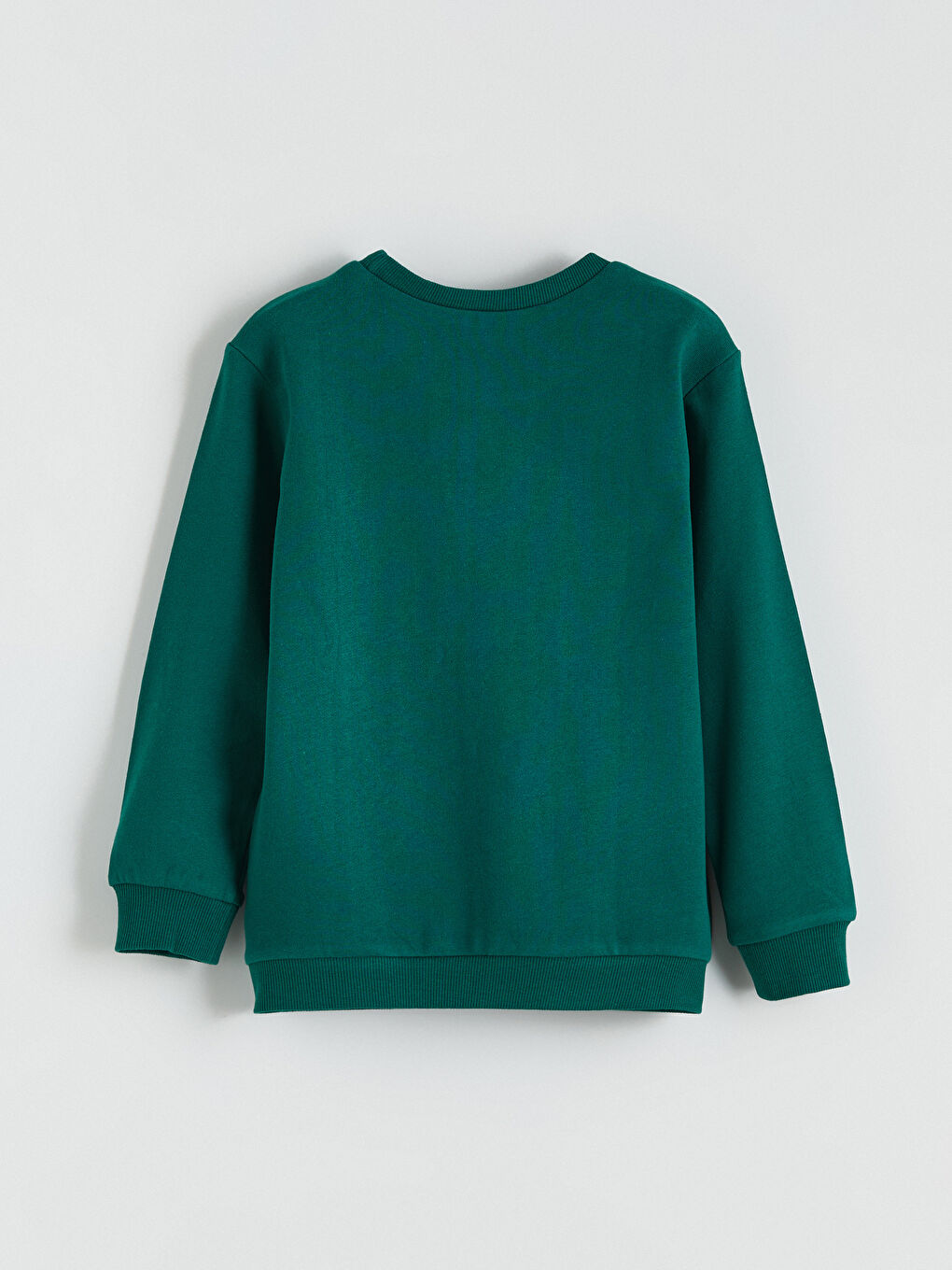 Printed Boys' Thick Sweatshirt-3