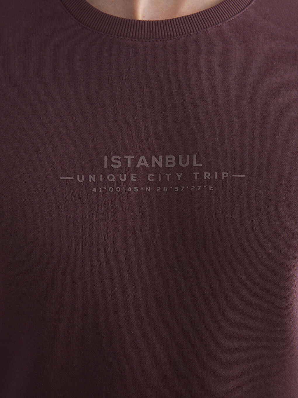 Mürdüm Bisiklet Yaka Baskılı Erkek Sweatshirt-2