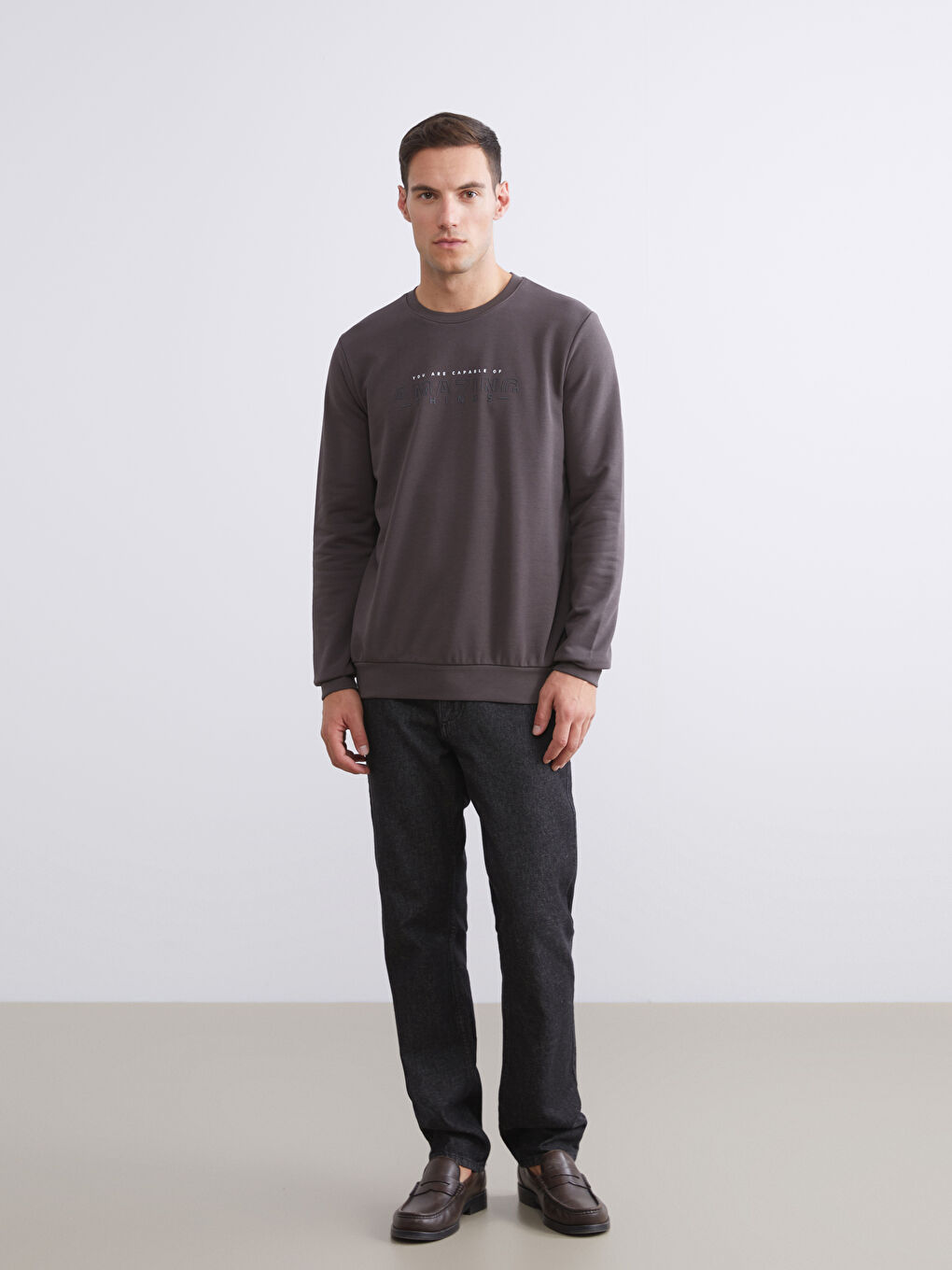 Crew Neck Printed Men's Thick Sweatshirt-1