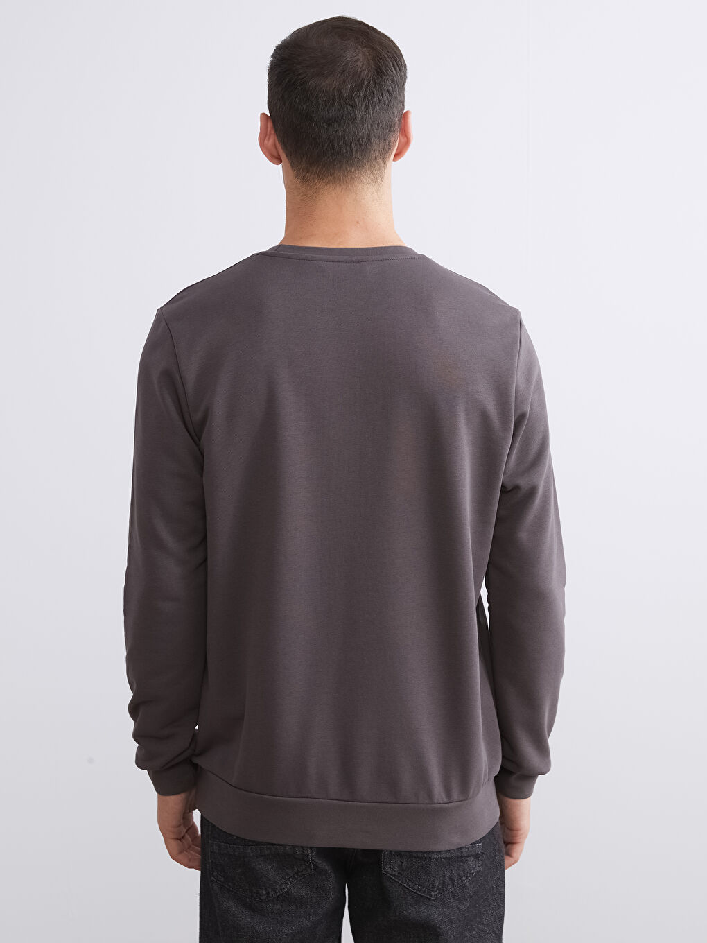 Crew Neck Printed Men's Thick Sweatshirt-3