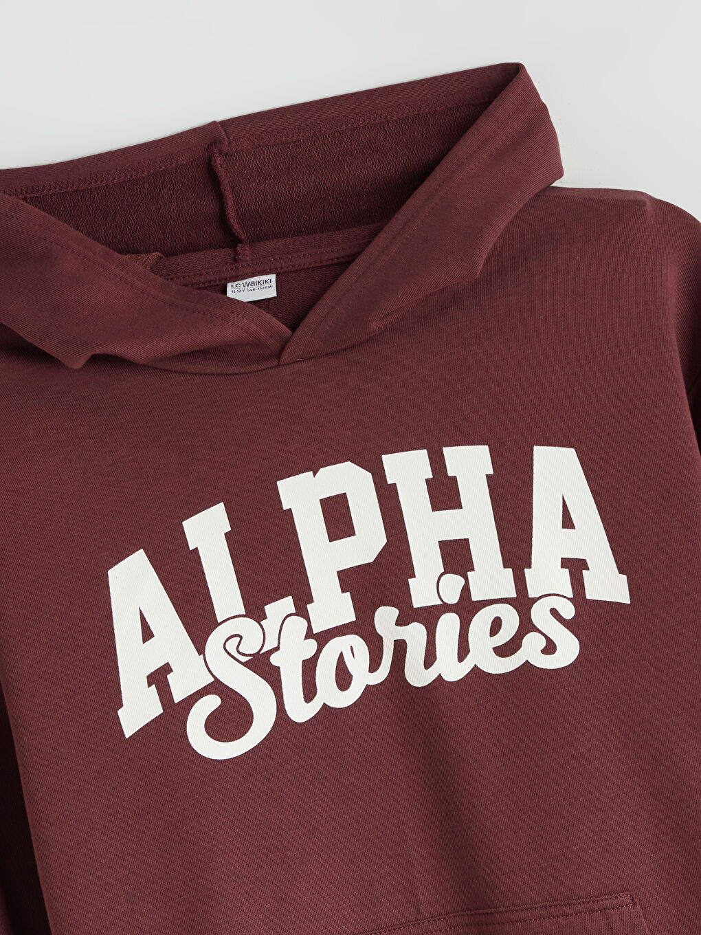 Hooded Boys' Sweatshirt-1