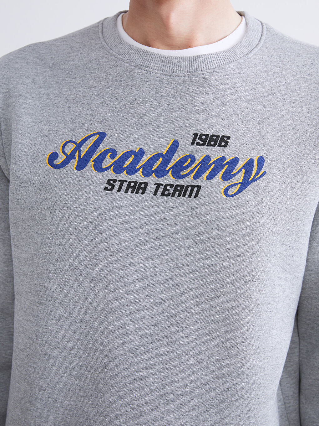 Crew Neck Printed Men's Sweatshirt-2