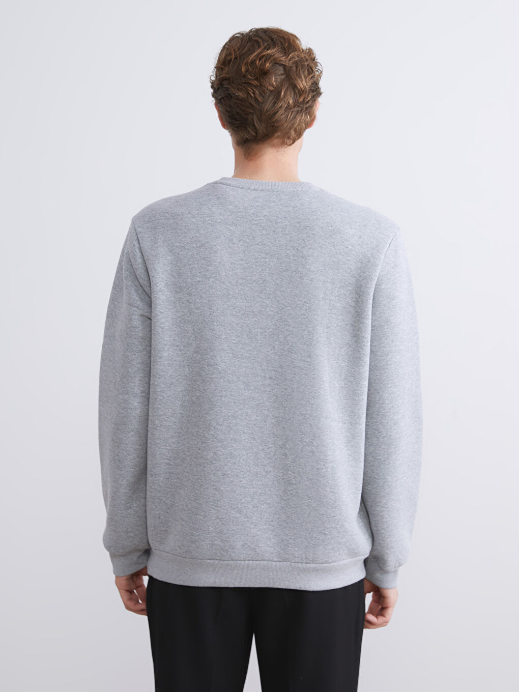 Crew Neck Printed Men's Sweatshirt-3