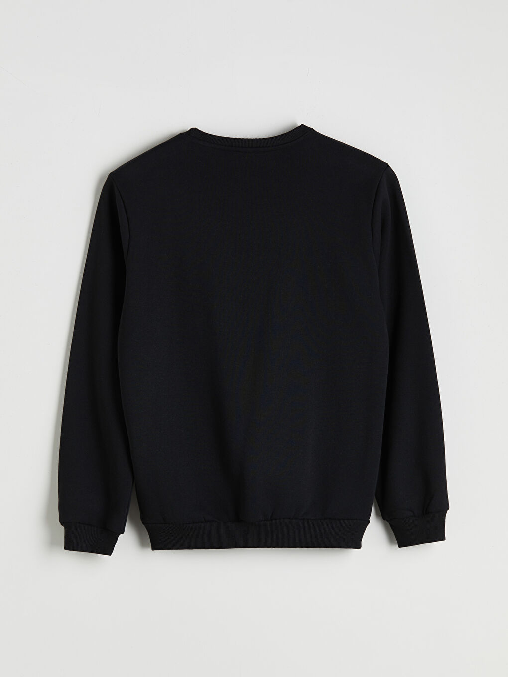 Crew Neck Printed Men's Sweatshirt-1