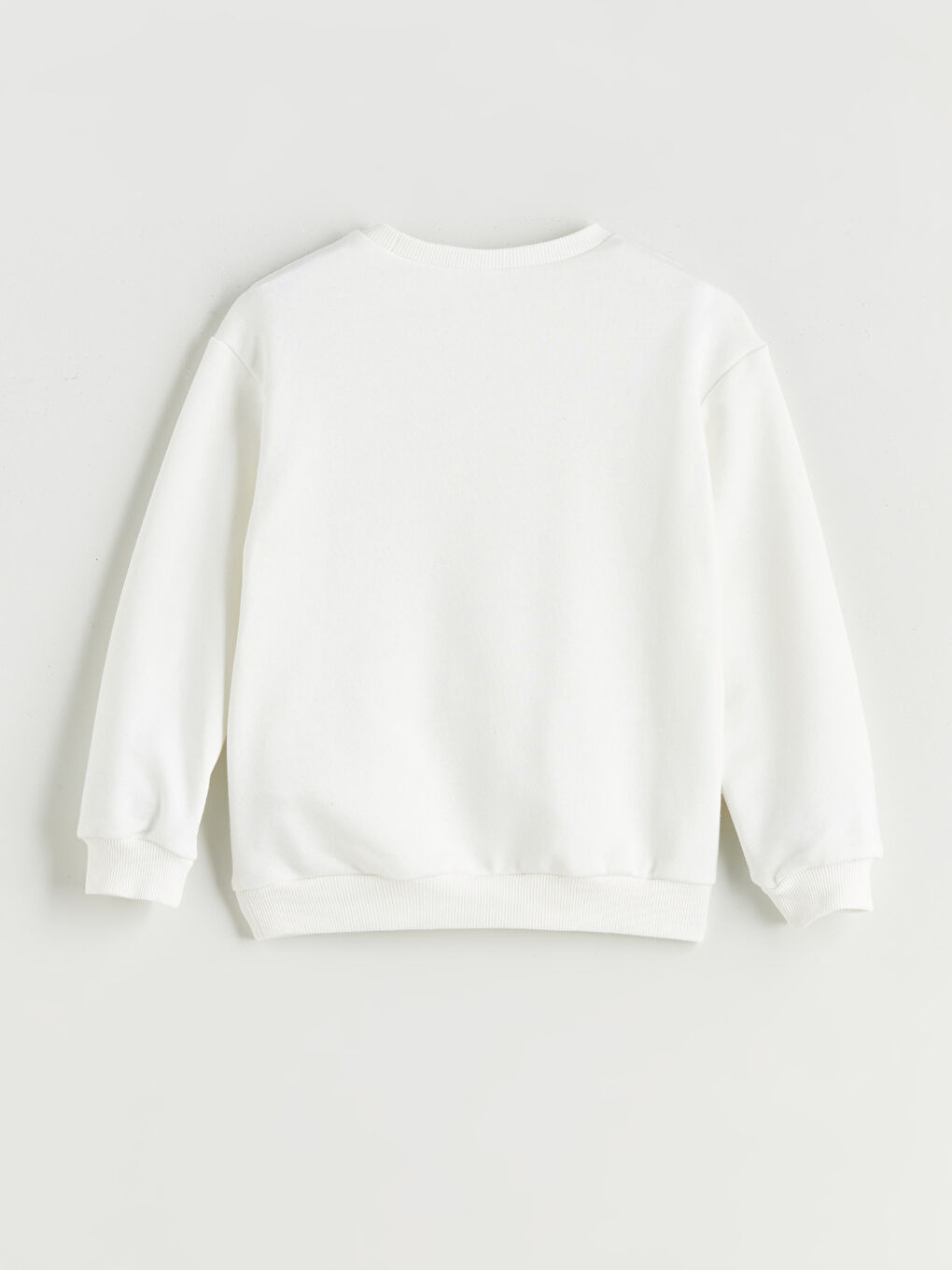 Crew Neck Printed Boys' Sweatshirt-1
