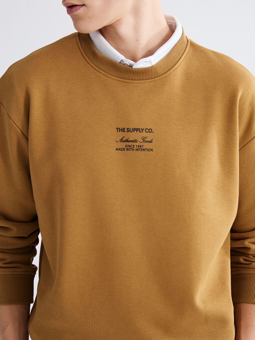 Crew Neck Printed Men's Thick Sweatshirt-2