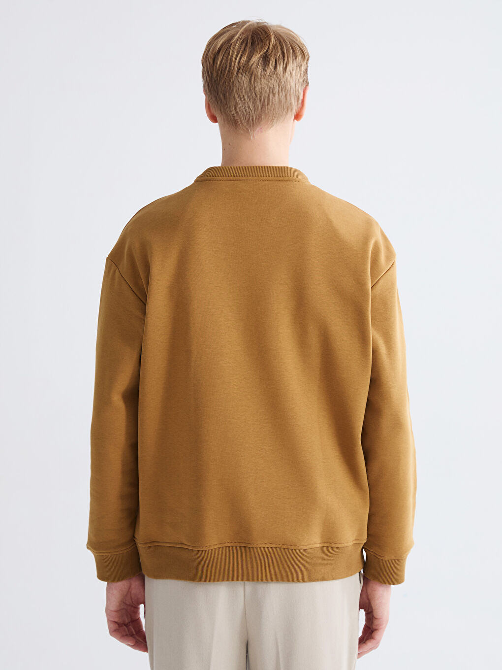 Crew Neck Printed Men's Thick Sweatshirt-3