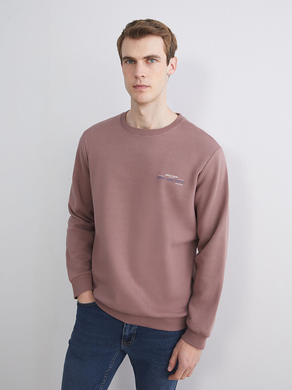 Crew Neck Printed Men's Sweatshirt