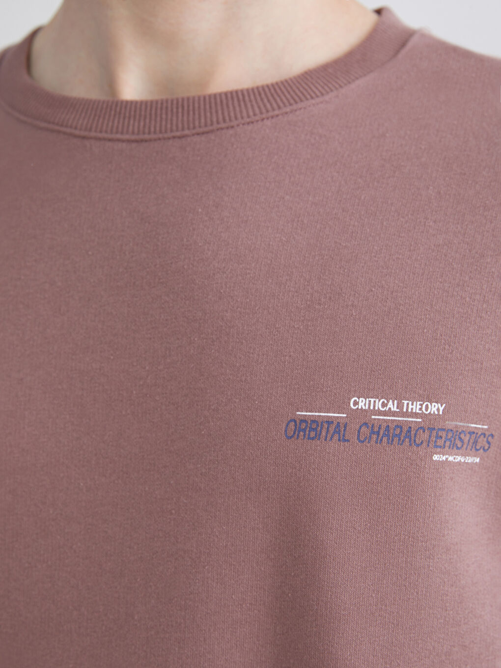 Crew Neck Printed Men's Sweatshirt-2