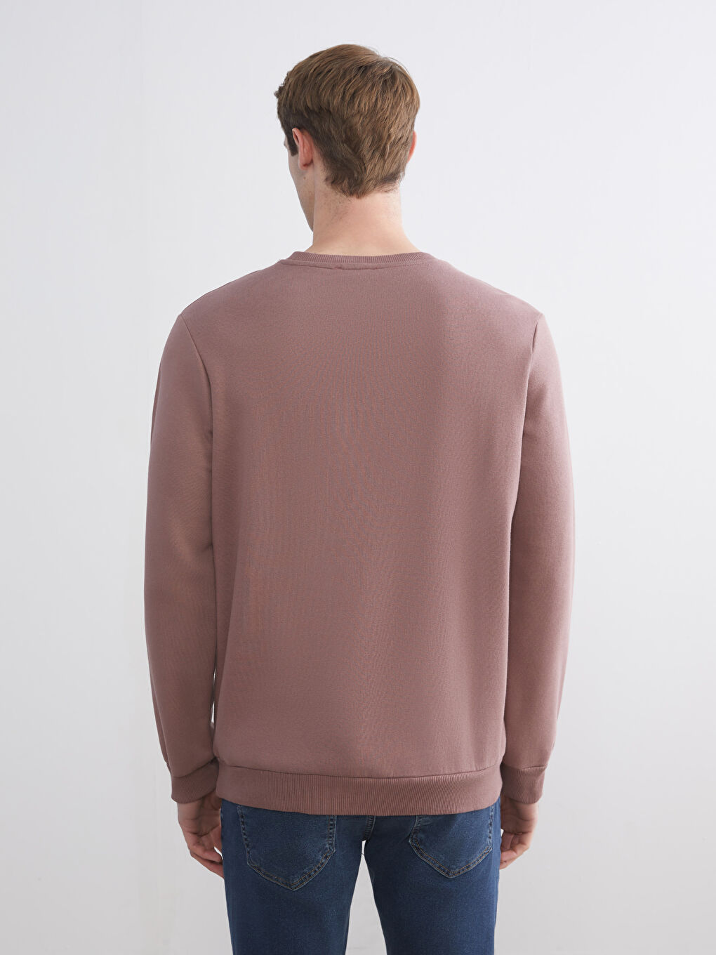 Crew Neck Printed Men's Sweatshirt-3