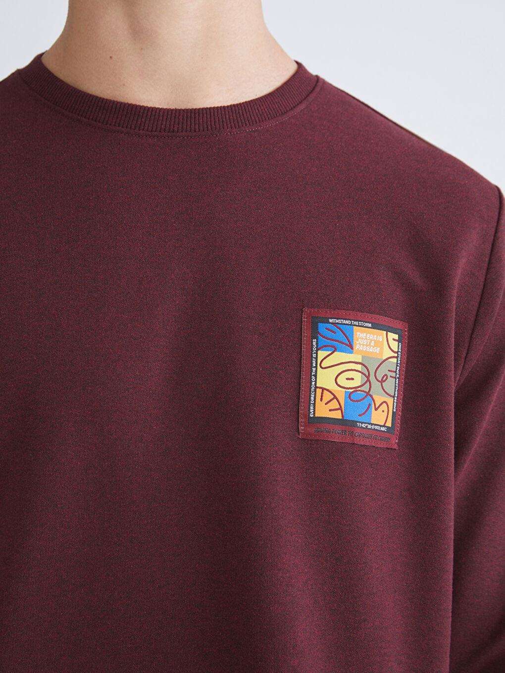 Bordo Bisiklet Yaka Uzun Kollu Baskılı Erkek Tişört-2