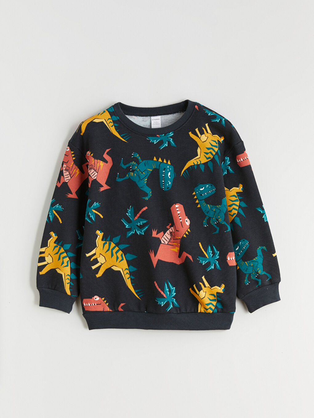 Dinosaur Printed Boys' Sweatshirt