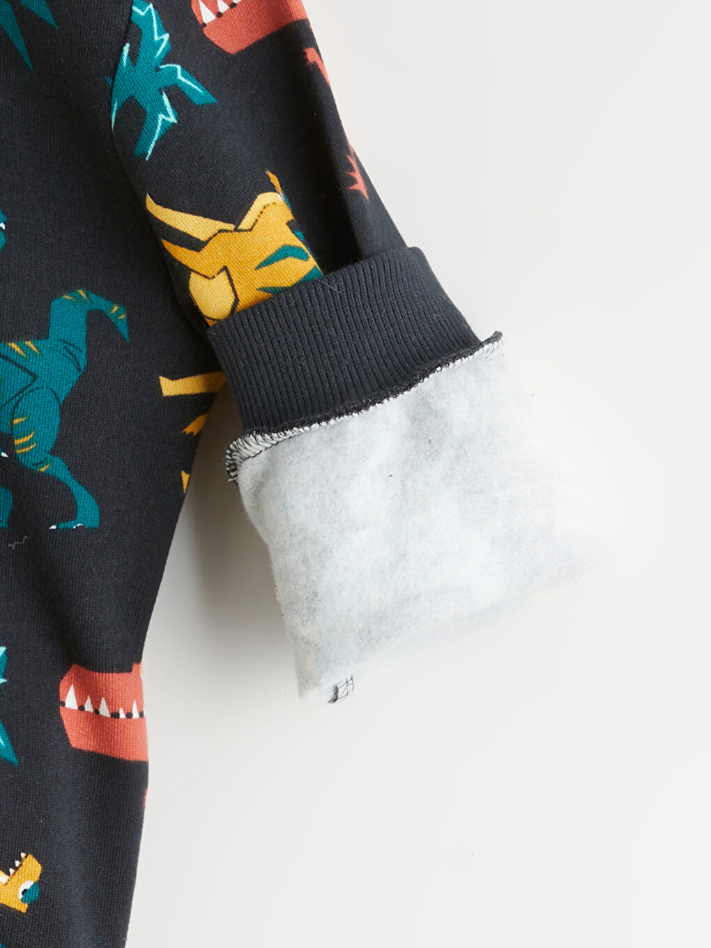 Dinosaur Printed Boys' Sweatshirt-1