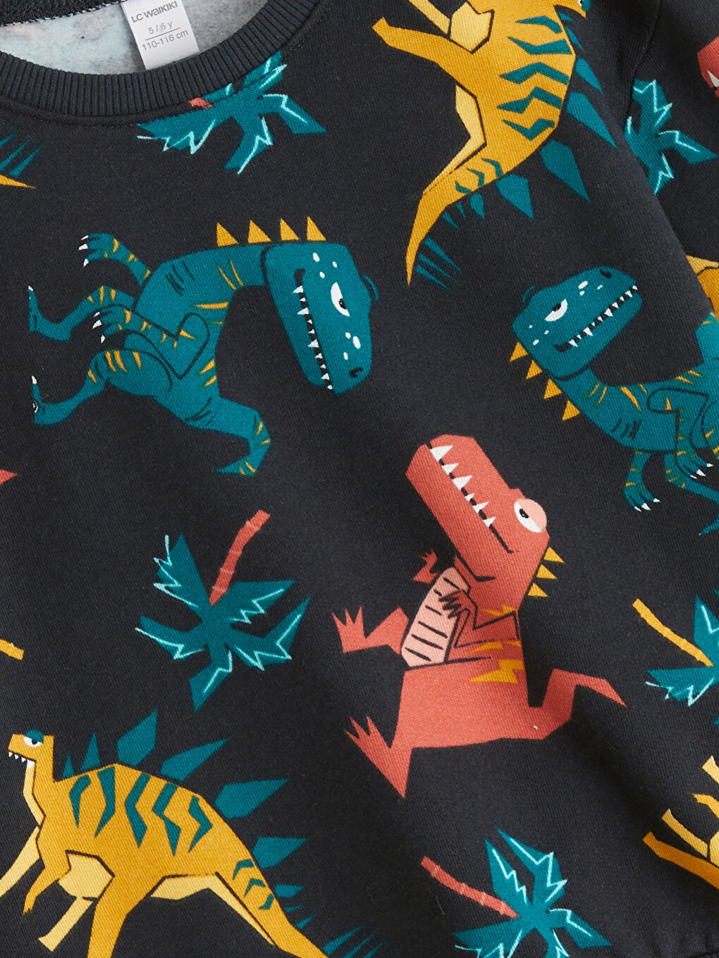 Dinosaur Printed Boys' Sweatshirt-2