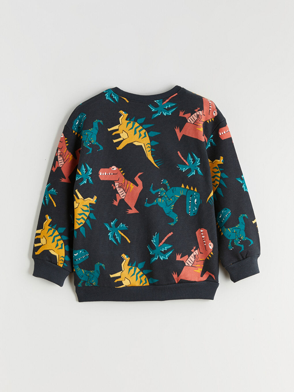 Dinosaur Printed Boys' Sweatshirt-3