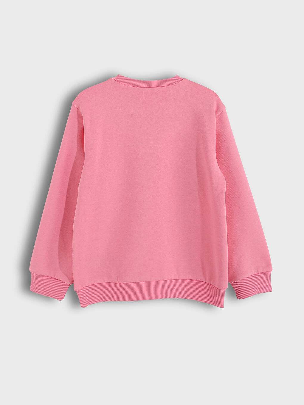Crew Neck Printed Girls Sweatshirt 2 Pack-3