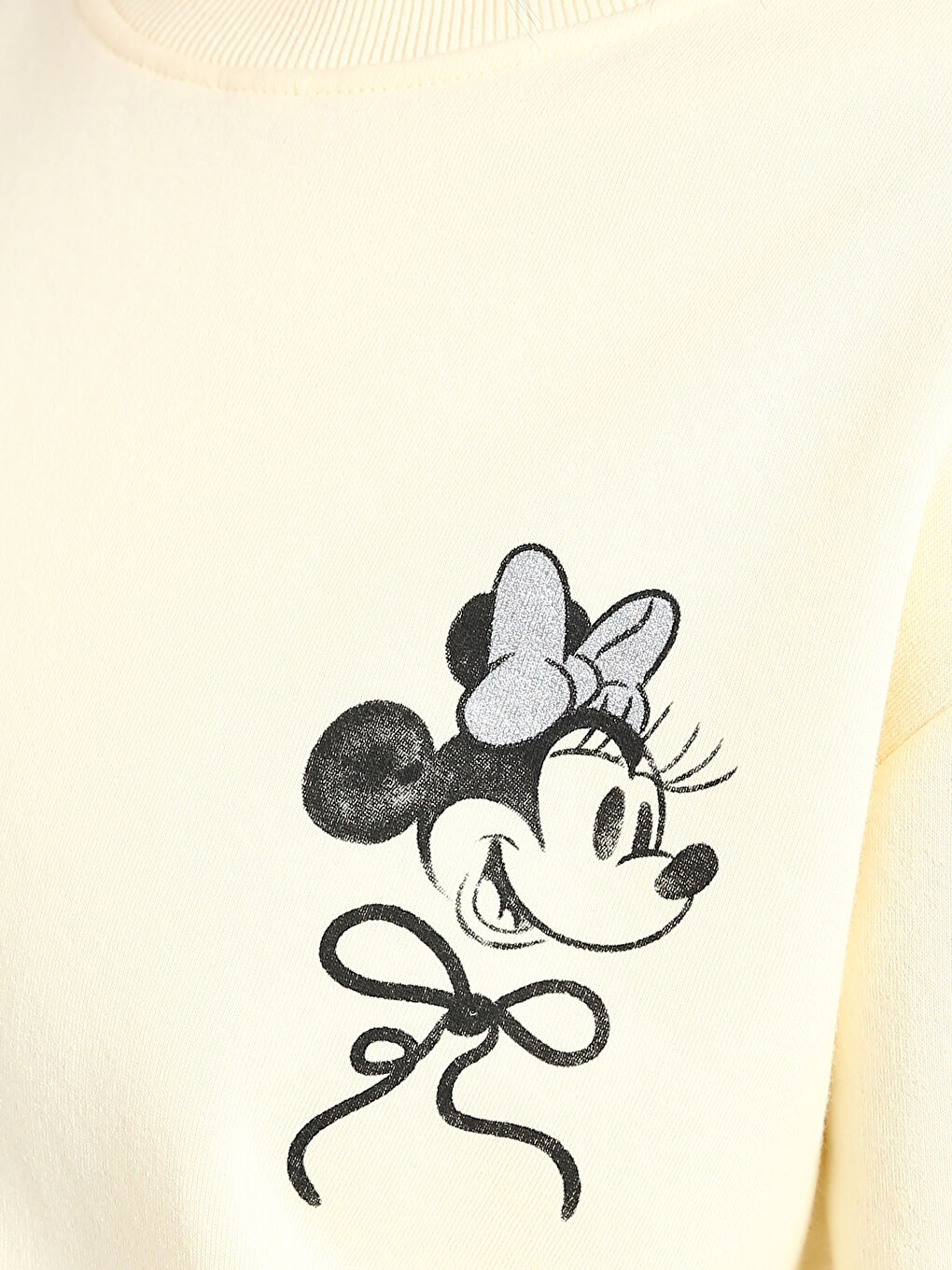 Crew Neck Minnie Mouse Printed Women's Sweatshirt-2