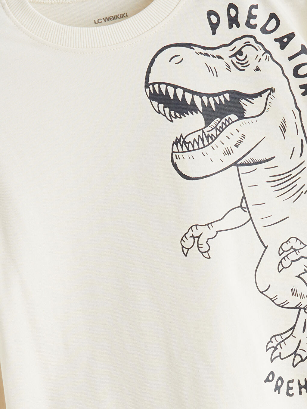 Bej Dinozor Baskılı Erkek Bebek Tişört-2