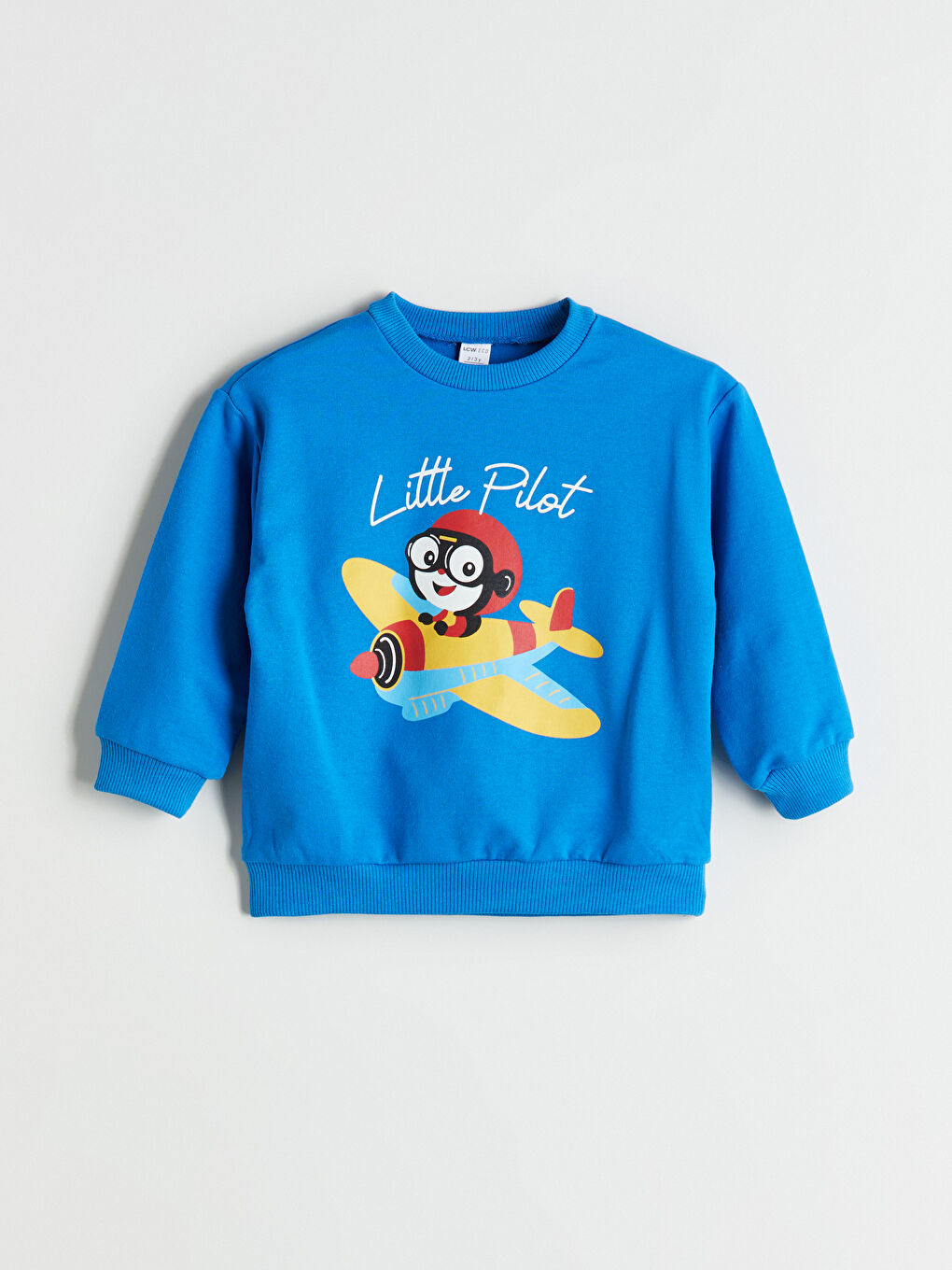 LCW ECO Crew Neck Printed Boys' Sweatshirt -W5GR28Z1-CRW