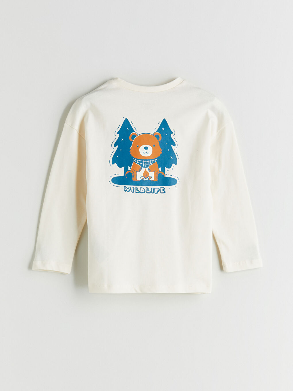 LCW ECO Crew Neck Printed Boys' T-Shirt -W5GR32Z1-QVK