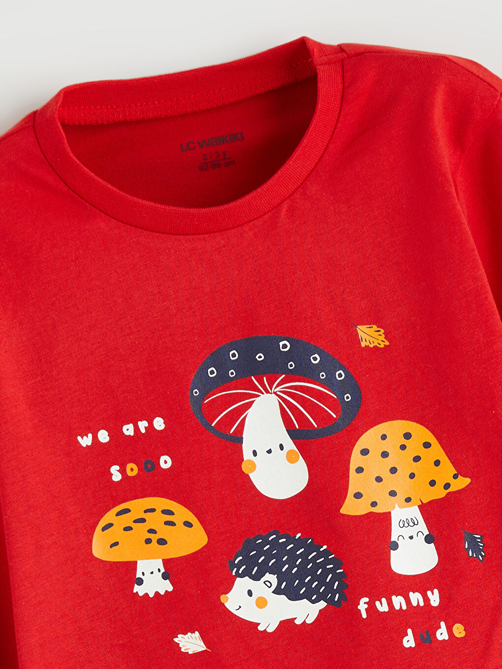 Printed Boys' Pyjama Set-2
