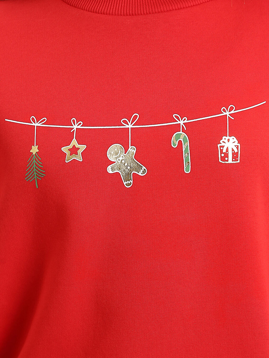 Crew Neck Women's Sweatshirt-2